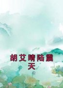 《胡艾晴陆震天》(胡艾晴陆震天