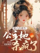 《苏裴云林昭》第六次重生，公主