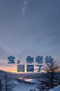 《宝，你老公回国了》小说章节在