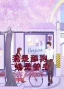 《许言江席》小说全文免费阅读 我