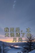 程颖迟牧精彩章节小说目录免费试