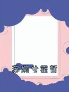 苏婉兮霍哲苏婉兮霍哲小说全本在