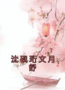 《沈砚珩文月舒》小说完结版在线