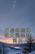赵离火木易完整版全文阅读 开局各