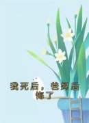 《唐俏俏唐珊珊》小说全文精彩试