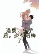 《追妻：分手后，少爷后悔了》小