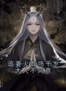 《追妻火葬场千岁大人不同意》小