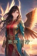 好书推荐《萧寒司柠》司柠楚祈全