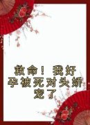 好书推荐《救命！我好孕被死对头