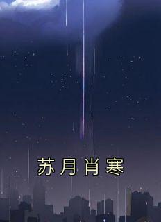 苏月肖寒
