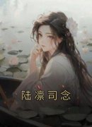 陆凛司念小说免费阅读 司念陆凛小