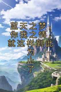 蓝天之梦，你我之情，就这样到此为止了