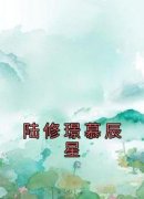 《陆修璟慕辰星》慕辰星陆修璟完