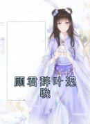 《叶迟晚顾君辞》小说章节精彩阅