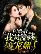 《陆瑶湛曦辰》小说完结版在线试