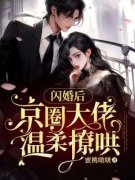 《闪婚后，京圈大佬温柔撩哄》小