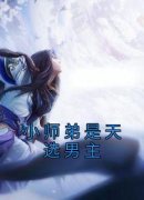 《小师弟是天选男主》洛寒林青全