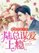 《哑妻带崽下堂，陆总谋爱上瘾》