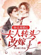 协议离婚后，夫人转头改嫁了章节
