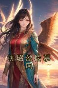 《沈昭盈段慕风》小说免费阅读 《