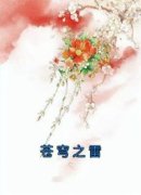《苍穹之雷》大结局免费阅读 《苍