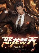 《沈穹叶倾》完结版精彩试读 《沈