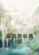 赫晚妤林鹤城全集免费在线阅读（