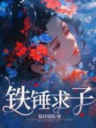 铁锤求子铁锤宋槐青全文免费试读