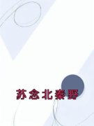 苏念北秦野苏念北秦野阅读_苏念北
