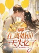《老公在离婚前一天失忆了》大结