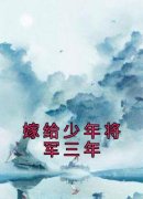 江茜崔修安免费阅读(嫁给少年将军