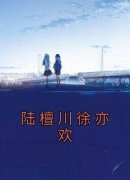 陆檀川徐亦欢徐亦欢陆檀川小说精
