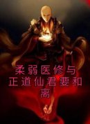 《柔弱医修与正道仙君要和离》林