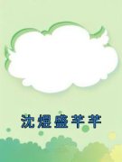 《沈煜盛芊芊》(沈煜盛芊芊)小说阅
