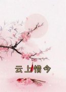 云上惜今宋惜今赵宴清精彩章节在