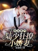 《南浔陆瑾之》情深难挡：陆少狂