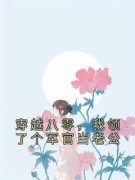 主角是舒苒周野的小说 《穿书八零