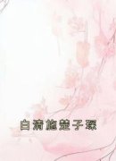 《白清施楚子琛》白清施楚子琛小