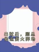 《出狱后，顾总他追妻火葬场》小