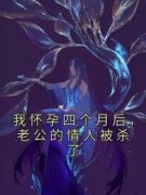 《林璐刘曼丽》全文阅读 我怀孕四