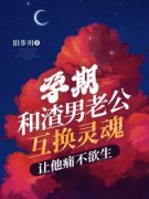 《孕期和渣男老公互换灵魂，让他
