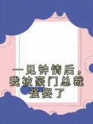苏凉意陌千宸小说 一见钟情后，我