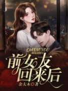 彭冉奚雅小说 前女友回来后小说叫