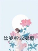 《沈岁柠宋延琛》小说章节列表精