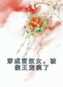《孟柠萧胤》穿成官奴女，被侯王