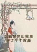 《沈婉青在山林里奔了半个时辰》