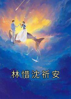 林惜沈祈安