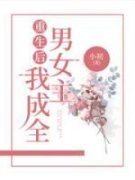 《罗琪崔进》小说在线试读 《罗琪