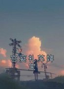 《宫宴礼苏姩宝》小说完结版在线