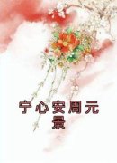 宁心安周元景宁心安周元景小说全